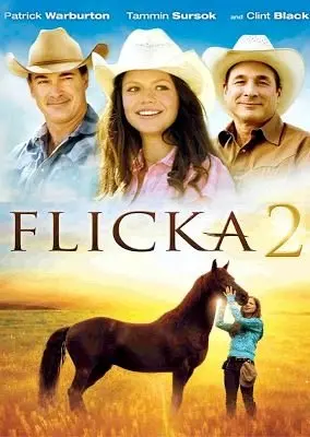 Flicka 2