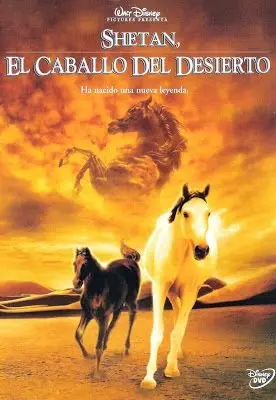 Shetan, el caballo del desierto