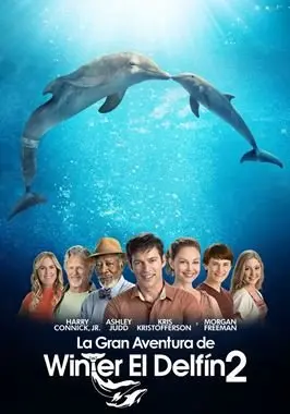 Dolphin Tale 2