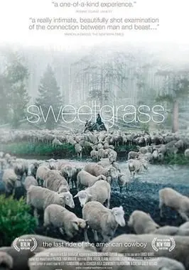 Sweetgrass