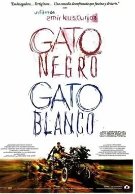 Gato negro, gato blanco