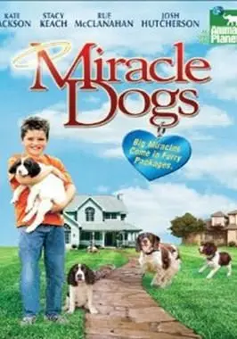 Miracle Dogs