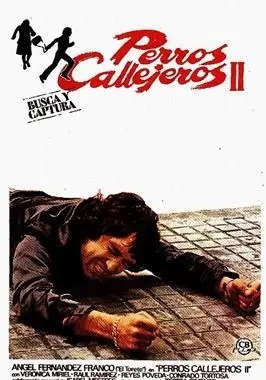 Perros callejeros II: Busca y captura