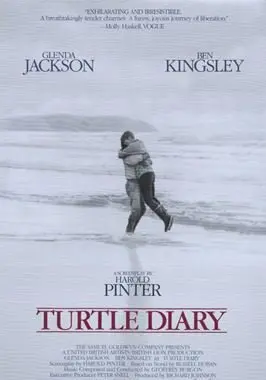 Turtle Diary