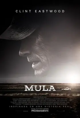 Mula