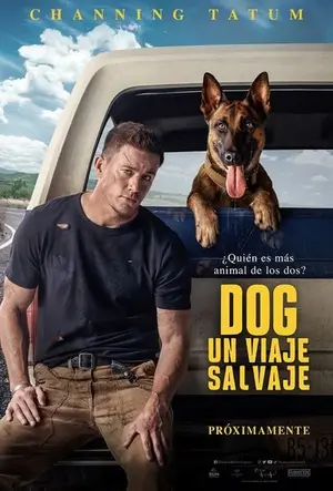 Dog. Un viaje salvaje